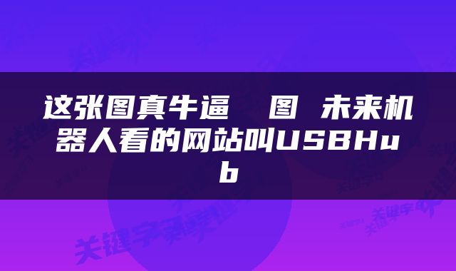 这张图真牛逼 囧图 未来机器人看的网站叫USBHub