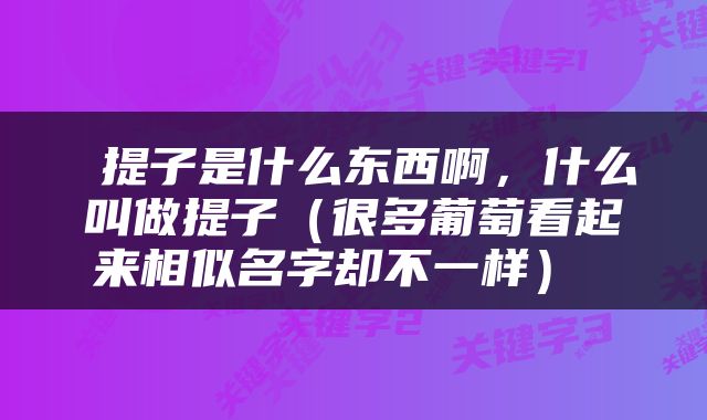  提子是什么东西啊，什么叫做提子（很多葡萄看起来相似名字却不一样） 