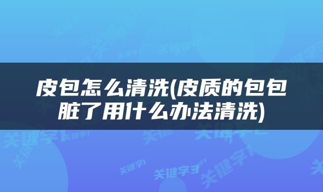 皮包怎么清洗(皮质的包包脏了用什么办法清洗)