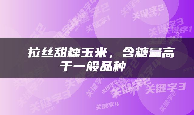  拉丝甜糯玉米，含糖量高于一般品种 
