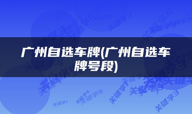 广州自选车牌(广州自选车牌号段)
