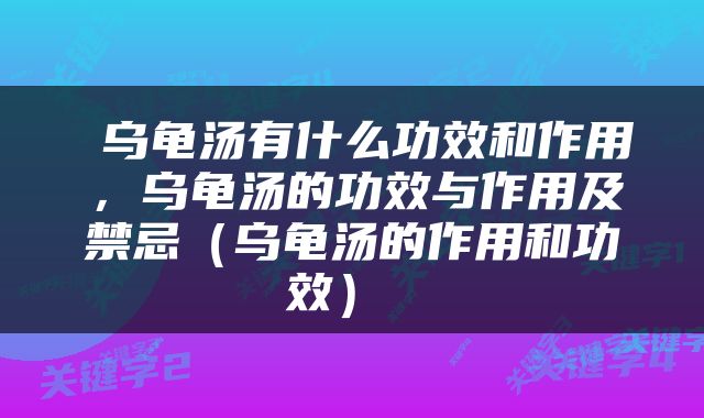  乌龟汤有什么功效和作用，乌龟汤的功效与作用及禁忌（乌龟汤的作用和功效） 
