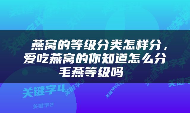  燕窝的等级分类怎样分，爱吃燕窝的你知道怎么分毛燕等级吗 