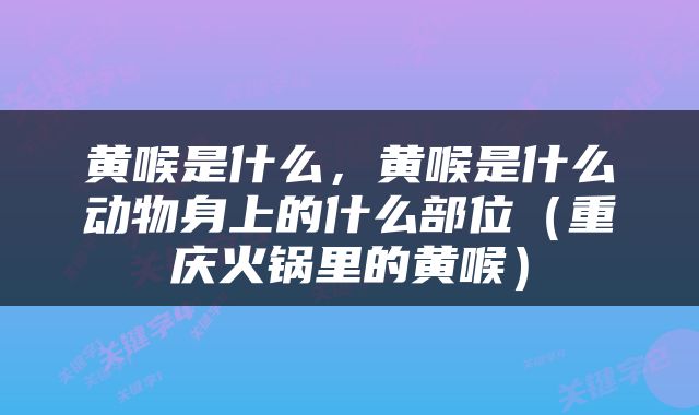 黄喉是什么，黄喉是什么动物身上的什么部位（重庆火锅里的黄喉）