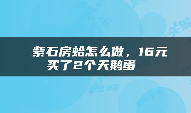  紫石房蛤怎么做，16元买了2个天鹅蛋 