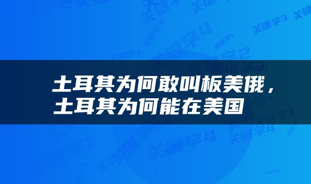  土耳其为何敢叫板美俄，土耳其为何能在美国 