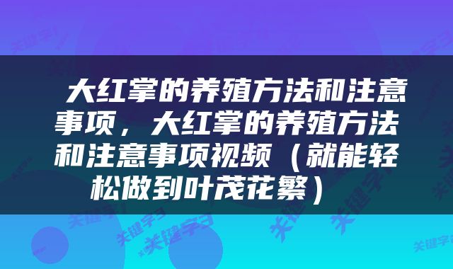  大红掌的养殖方法和注意事项，大红掌的养殖方法和注意事项视频（就能轻松做到叶茂花繁） 