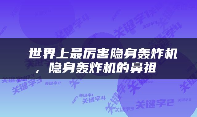  世界上最厉害隐身轰炸机，隐身轰炸机的鼻祖 