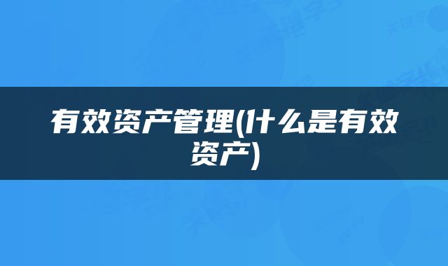有效资产管理(什么是有效资产)