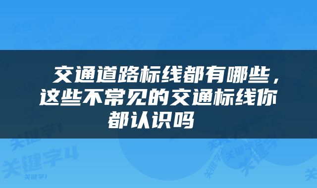  交通道路标线都有哪些，这些不常见的交通标线你都认识吗 