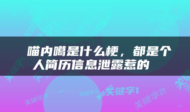  喵内噶是什么梗，都是个人简历信息泄露惹的 