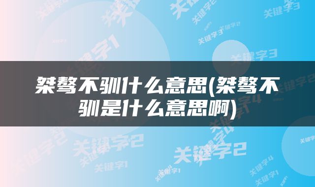 桀骜不驯什么意思(桀骜不驯是什么意思啊)