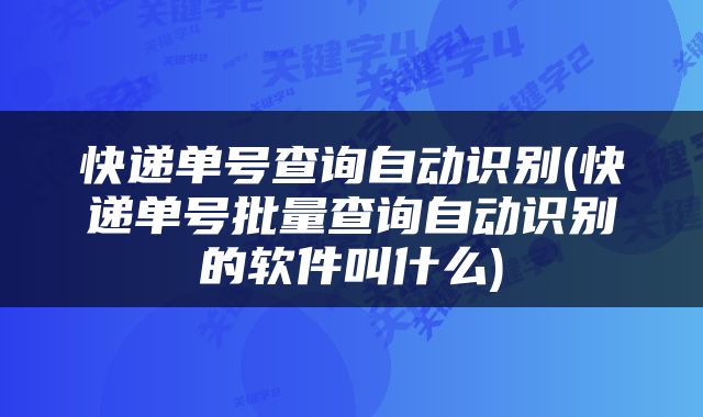 快递单号查询自动识别(快递单号批量查询自动识别的软件叫什么)