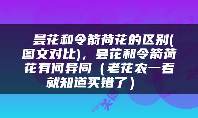  昙花和令箭荷花的区别(图文对比)，昙花和令箭荷花有何异同（老花农一看就知道买错了） 