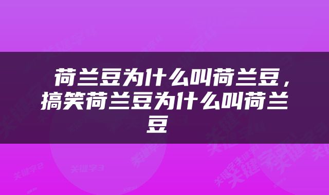  荷兰豆为什么叫荷兰豆，搞笑荷兰豆为什么叫荷兰豆 