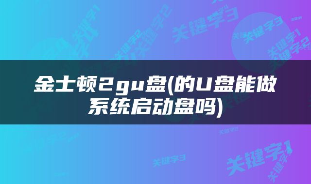 金士顿2gu盘(的U盘能做系统启动盘吗)