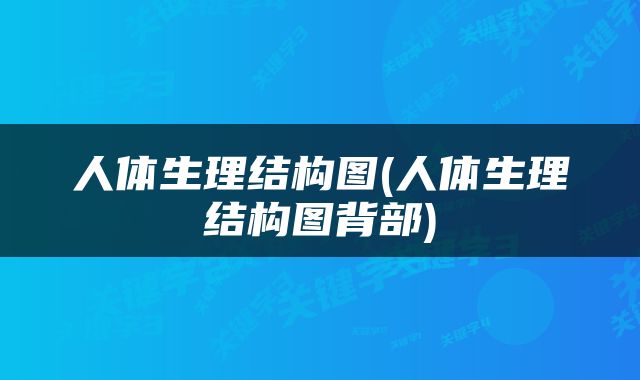 人体生理结构图(人体生理结构图背部)