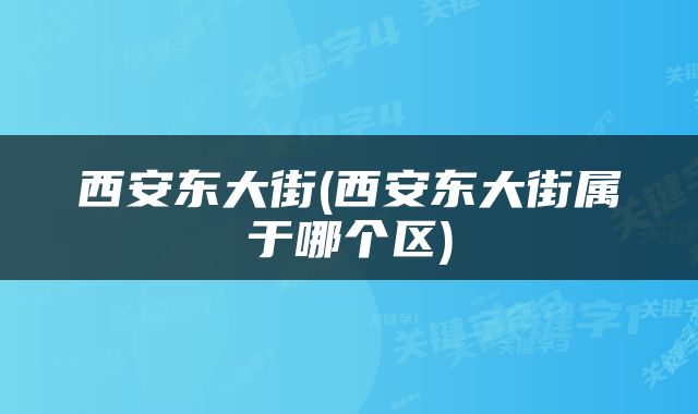 西安东大街(西安东大街属于哪个区)