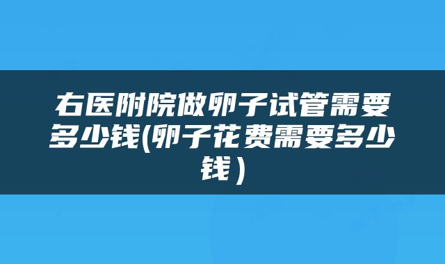右医附院做卵子试管需要多少钱(卵子花费需要多少钱)
