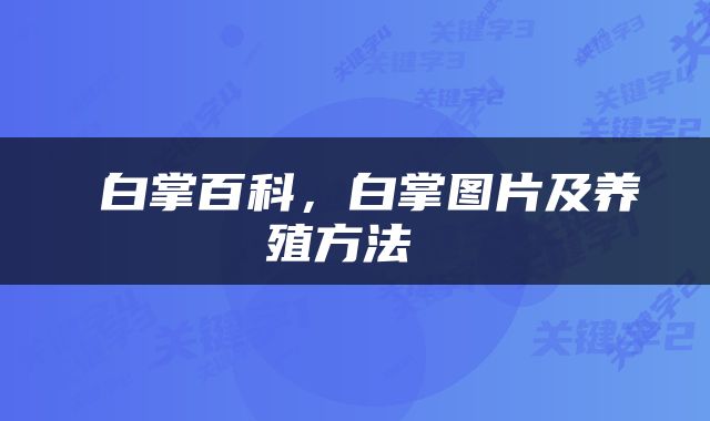  白掌百科，白掌图片及养殖方法 