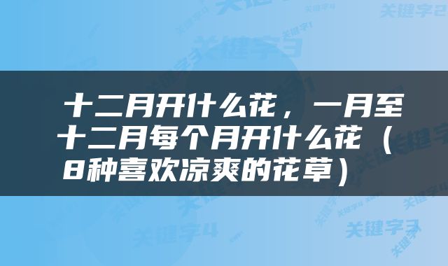  十二月开什么花，一月至十二月每个月开什么花（8种喜欢凉爽的花草） 
