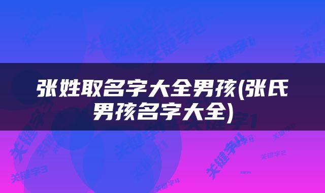 张姓取名字大全男孩(张氏男孩名字大全)