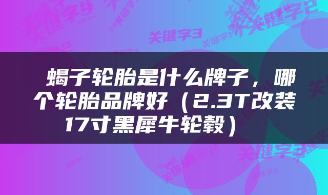  蝎子轮胎是什么牌子，哪个轮胎品牌好（2.3T改装17寸黑犀牛轮毂） 