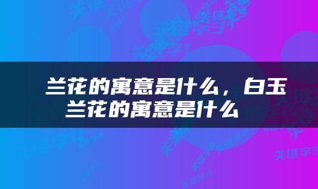  兰花的寓意是什么，白玉兰花的寓意是什么 