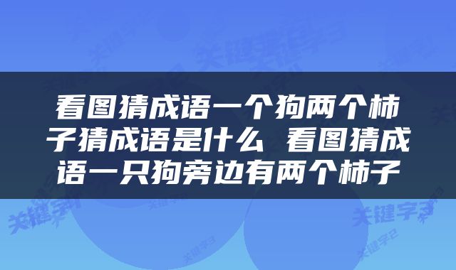 看图猜成语一个狗两个柿子猜成语是什么 看图猜成语一只狗旁边有两个柿子