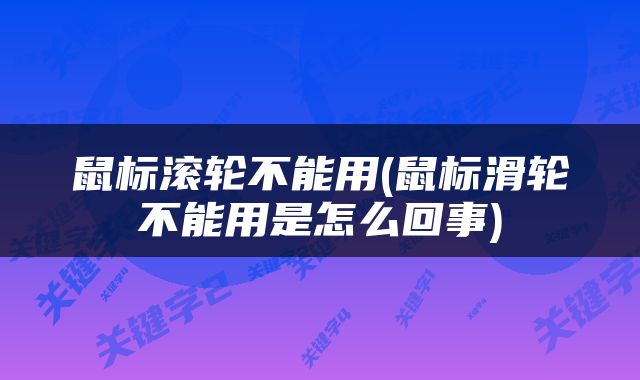 鼠标滚轮不能用(鼠标滑轮不能用是怎么回事)