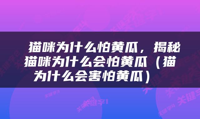 猫咪为什么怕黄瓜,揭秘猫咪为什么会怕黄瓜(猫为什么会害怕黄瓜)