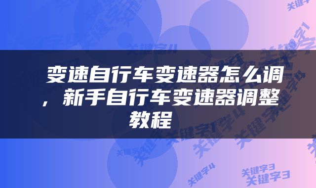  变速自行车变速器怎么调，新手自行车变速器调整教程 