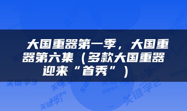  大国重器第一季，大国重器第六集（多款大国重器迎来“首秀”） 