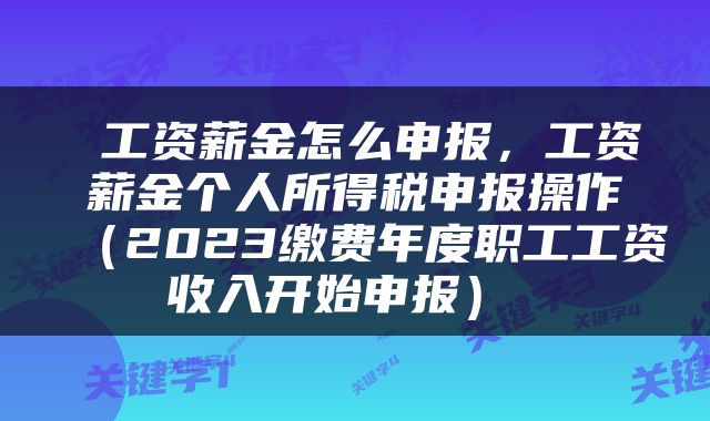  工资薪金怎么申报，工资薪金个人所得税申报操作（2023缴费年度职工工资收入开始申报） 