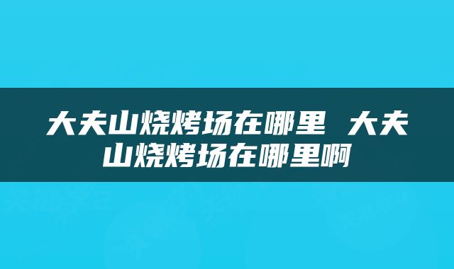 大夫山烧烤场在哪里 大夫山烧烤场在哪里啊