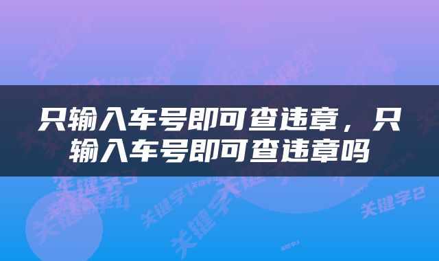 只输入车号即可查违章，只输入车号即可查违章吗