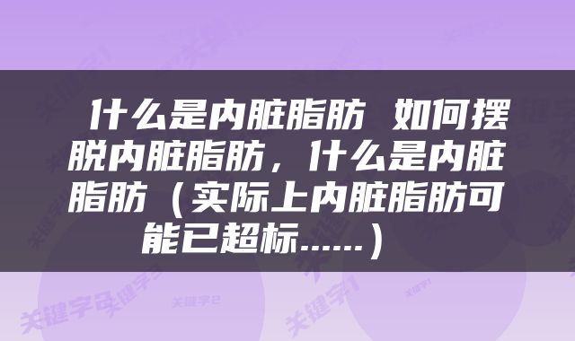  什么是内脏脂肪 如何摆脱内脏脂肪，什么是内脏脂肪（实际上内脏脂肪可能已超标......） 