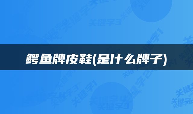 鳄鱼牌皮鞋(是什么牌子)