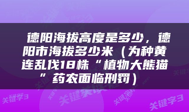  德阳海拔高度是多少，德阳市海拔多少米（为种黄连乱伐18株“植物大熊猫”药农面临刑罚） 