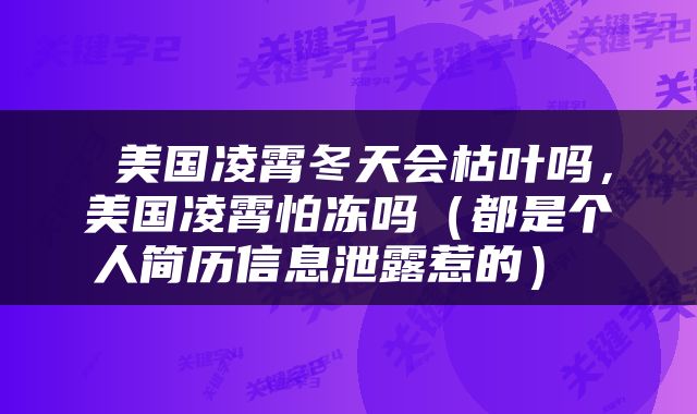  美国凌霄冬天会枯叶吗，美国凌霄怕冻吗（都是个人简历信息泄露惹的） 