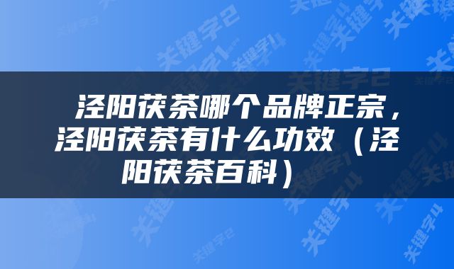  泾阳茯茶哪个品牌正宗，泾阳茯茶有什么功效（泾阳茯茶百科） 