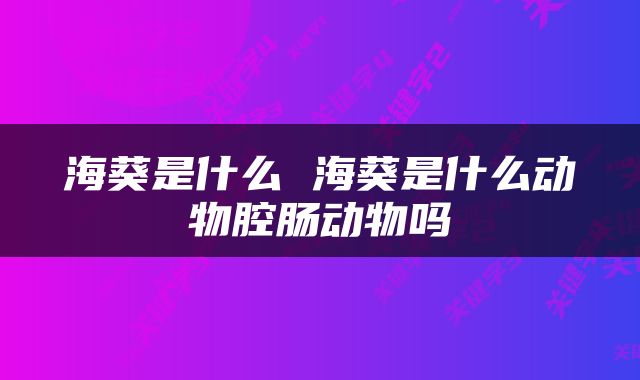 海葵是什么 海葵是什么动物腔肠动物吗