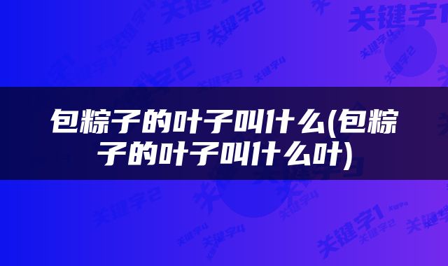 包粽子的叶子叫什么(包粽子的叶子叫什么叶)