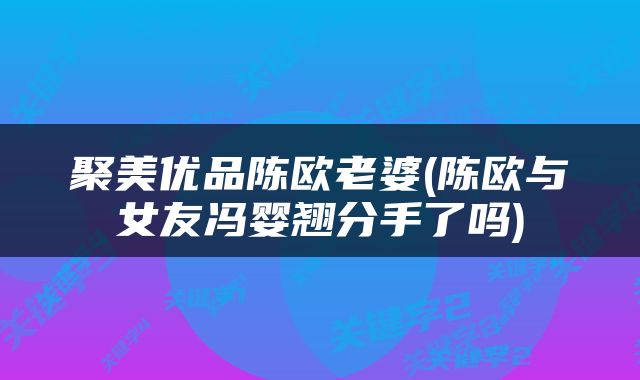 聚美优品陈欧老婆(陈欧与女友冯婴翘分手了吗)
