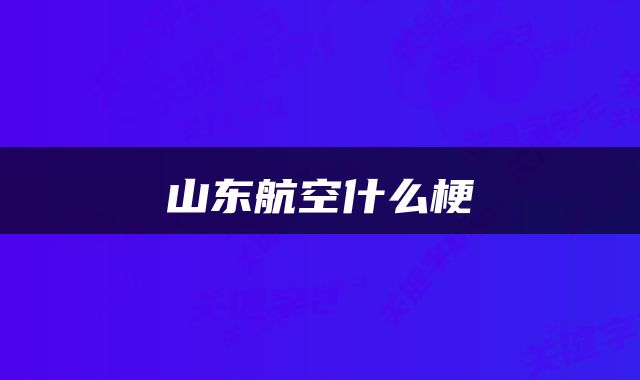 山东航空什么梗