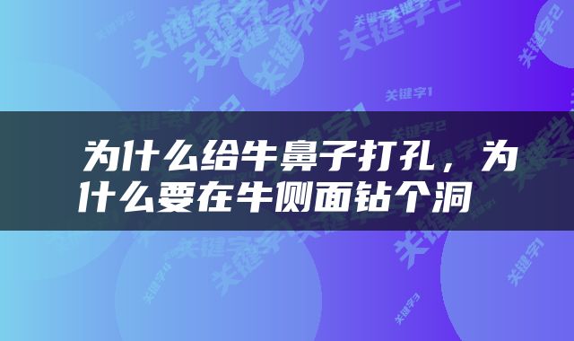  为什么给牛鼻子打孔，为什么要在牛侧面钻个洞 
