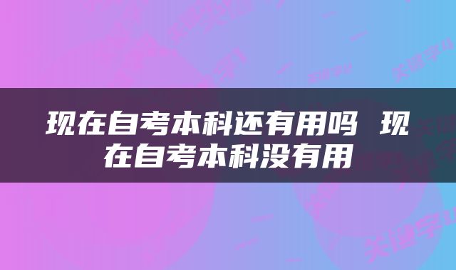 现在自考本科还有用吗 现在自考本科没有用