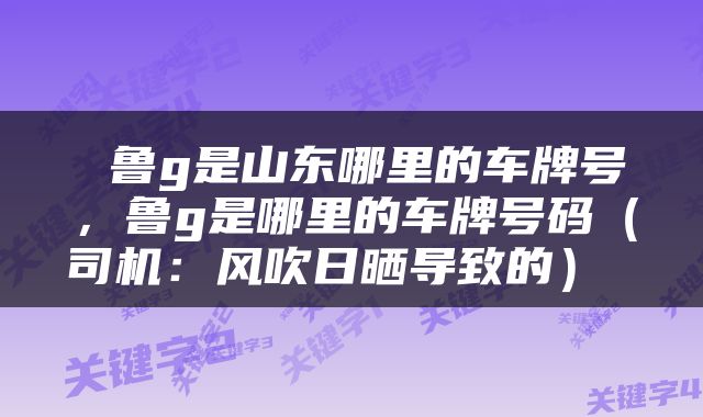  鲁g是山东哪里的车牌号，鲁g是哪里的车牌号码（司机：风吹日晒导致的） 