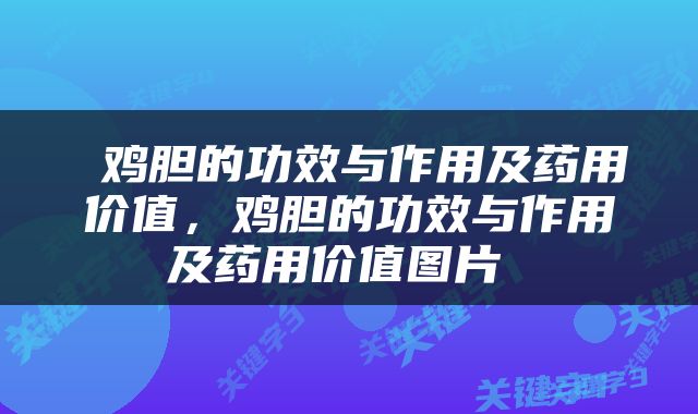  鸡胆的功效与作用及药用价值，鸡胆的功效与作用及药用价值图片 