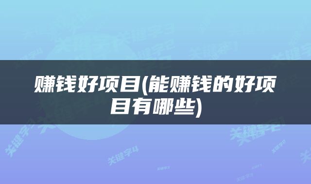 赚钱好项目(能赚钱的好项目有哪些)